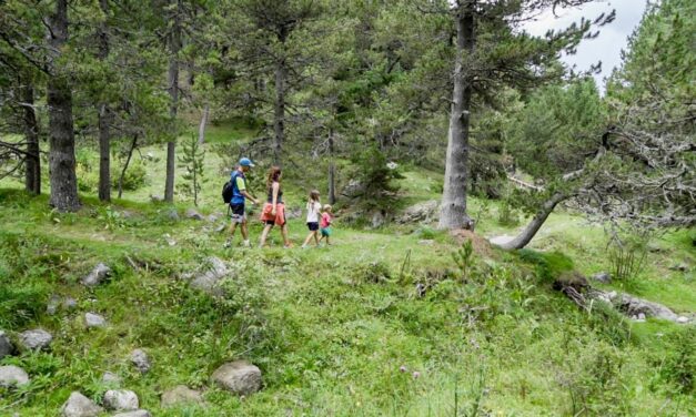 La Molina inicia la temporada d’estiu amb una àmplia proposta per practicar esport i gaudir d’activitats en plena natura