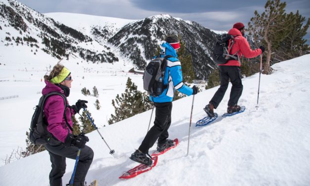 Vols fer un bateig de raquetes de neu, una excursió matinal o nocturna a Vallter?