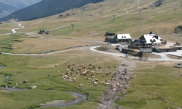 L’espectale majestuós de Baqueira a l’estiu