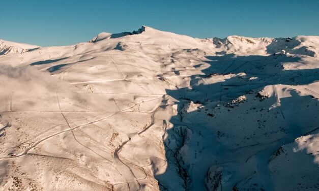 Sierra Nevada encarrega un estudi per al càlcul i reducció de la petjada de carboni