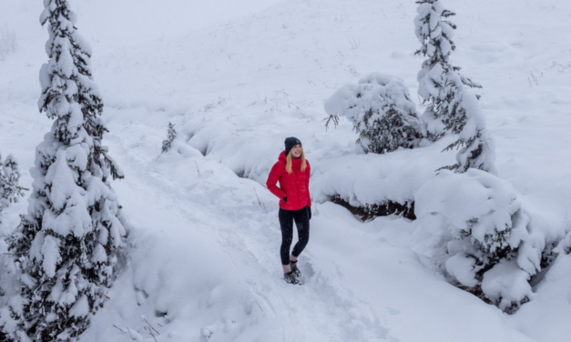 La nova reestructuració Comercial de Columbia Sportswear Company