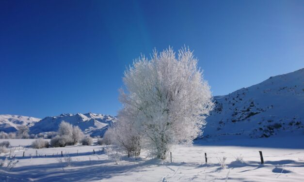Rècord de temperatura negativa a Espanya: -35,8ºC