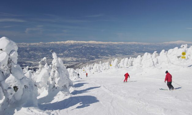 Japó, un paradís de l’esquí i el surf de neu