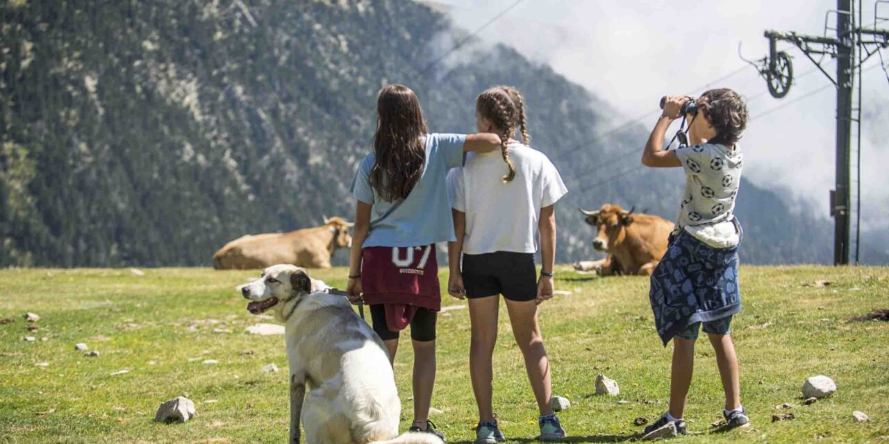 Vallter, un paradís per gaudir de l’estiu