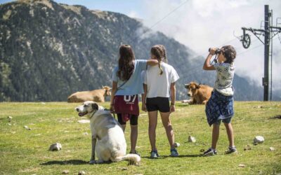 Vallter, un paradís per gaudir de l’estiu