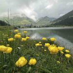 FGC i l’Ajuntament de Queralbs acorden les condicions per a la continuïtat de la concessió a la Vall de Núria