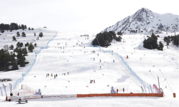 La Federació d’Associacions d’Esquí i Snowboard d’Europa (FESA) es reuneix a Soelden (AUT)