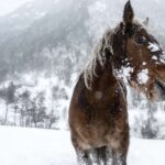 Primera esquiada a Ordino!!!