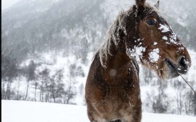 Primera esquiada a Ordino!!!