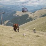 La Molina activa la totalitat de la seva oferta estival