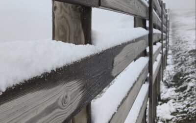 Primera nevadeta a Baqueira