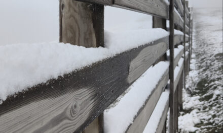 Primera nevadeta a Baqueira