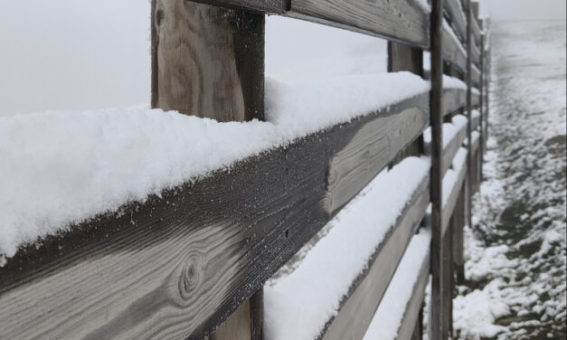 Primera nevadeta a Baqueira