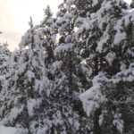 Rasos de Peguera amb Cadí i Ensija al fons