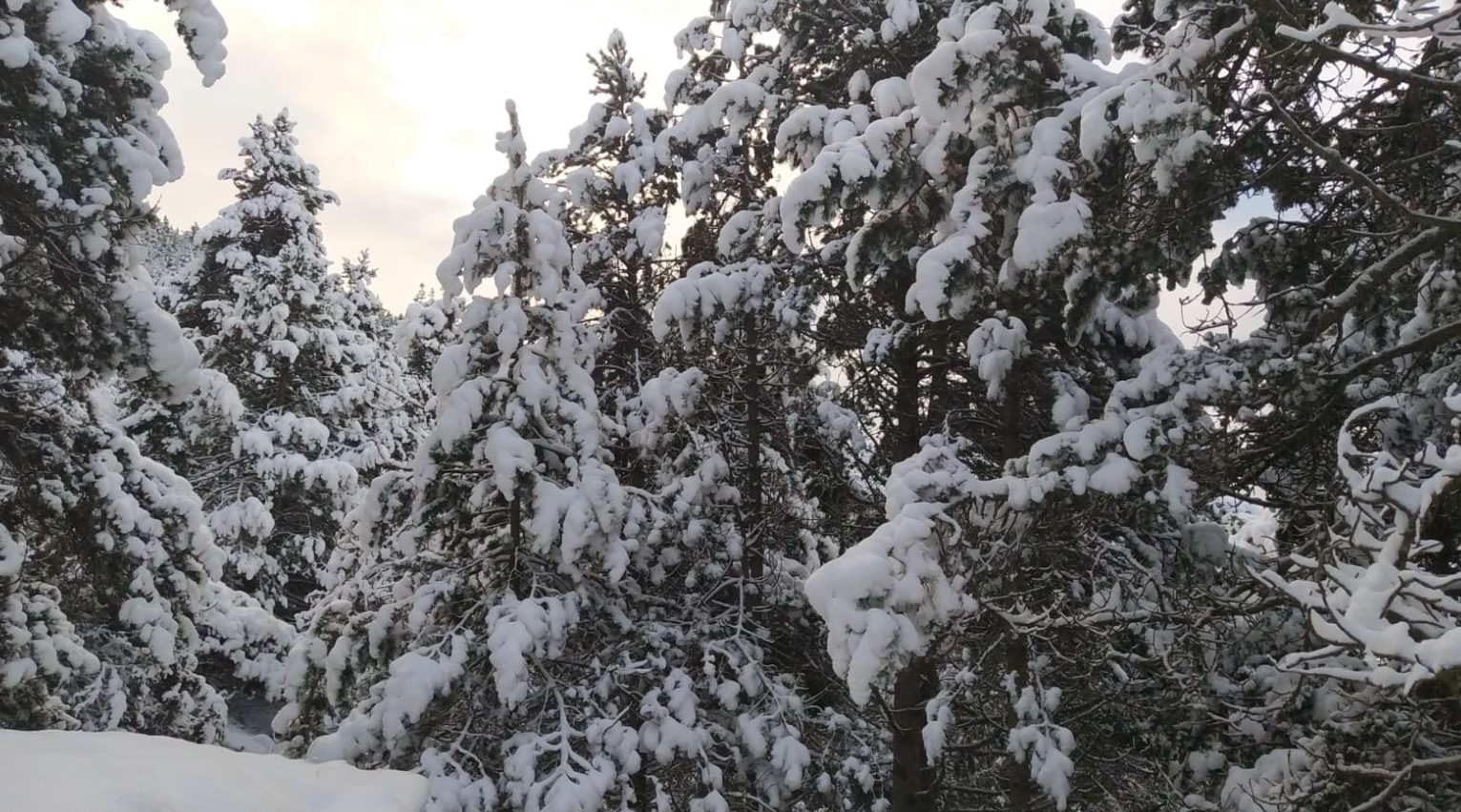 Captura de pantalla 2025-12-30 224430