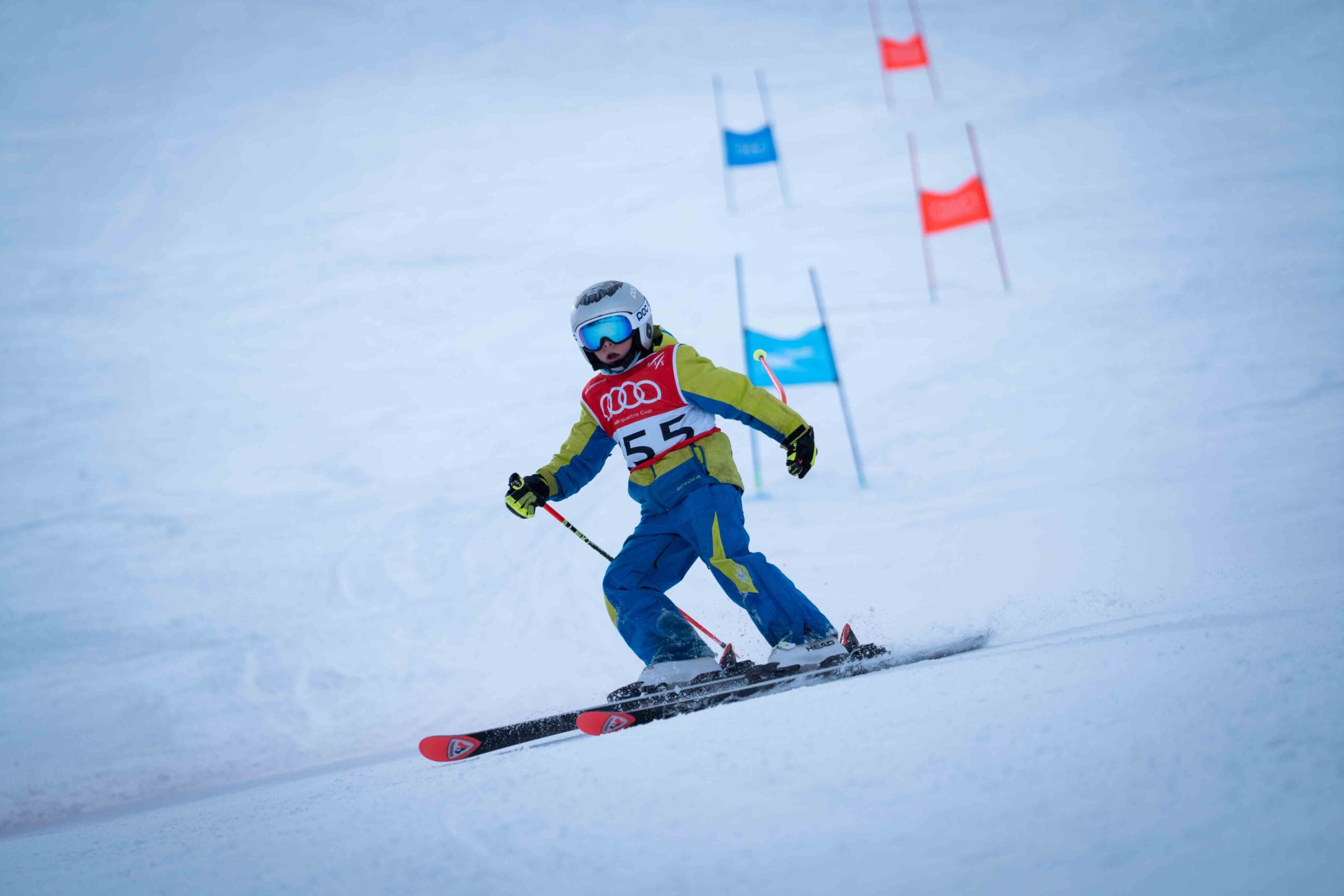 260207-Ndp-RFEDI-AqC-Candanchu