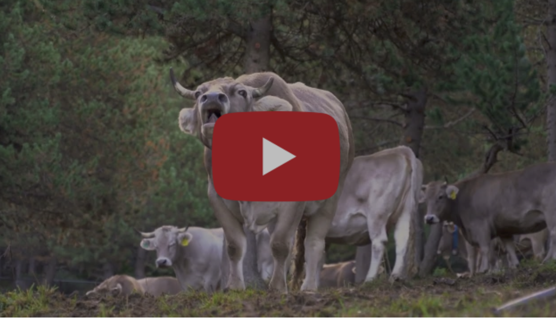 Captura de pantalla 2026-02-13 a las 0.07.37