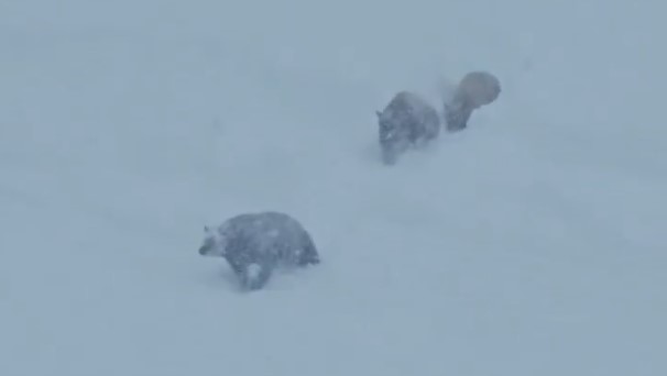 Captura de pantalla 2026-02-20 143206