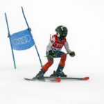 Resum Audi quattro Cup Fuentes de Invierno